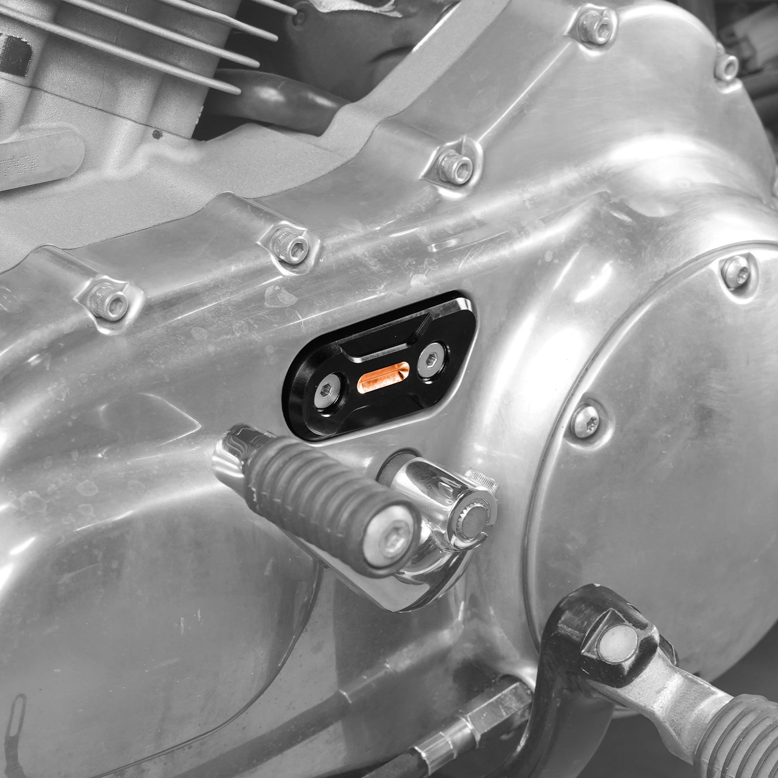 CNC Inspektionsplattenabdeckung für Harley Sportster 1200 Iron 883 Forty Eight