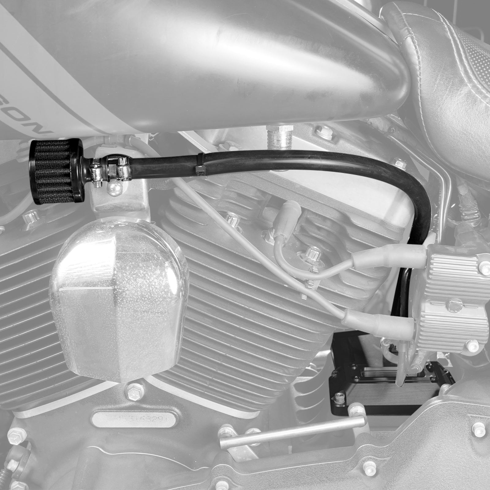 Transparente belüftete Getriebeabdeckung für Harley Dyna Twin Cam 2006–2017