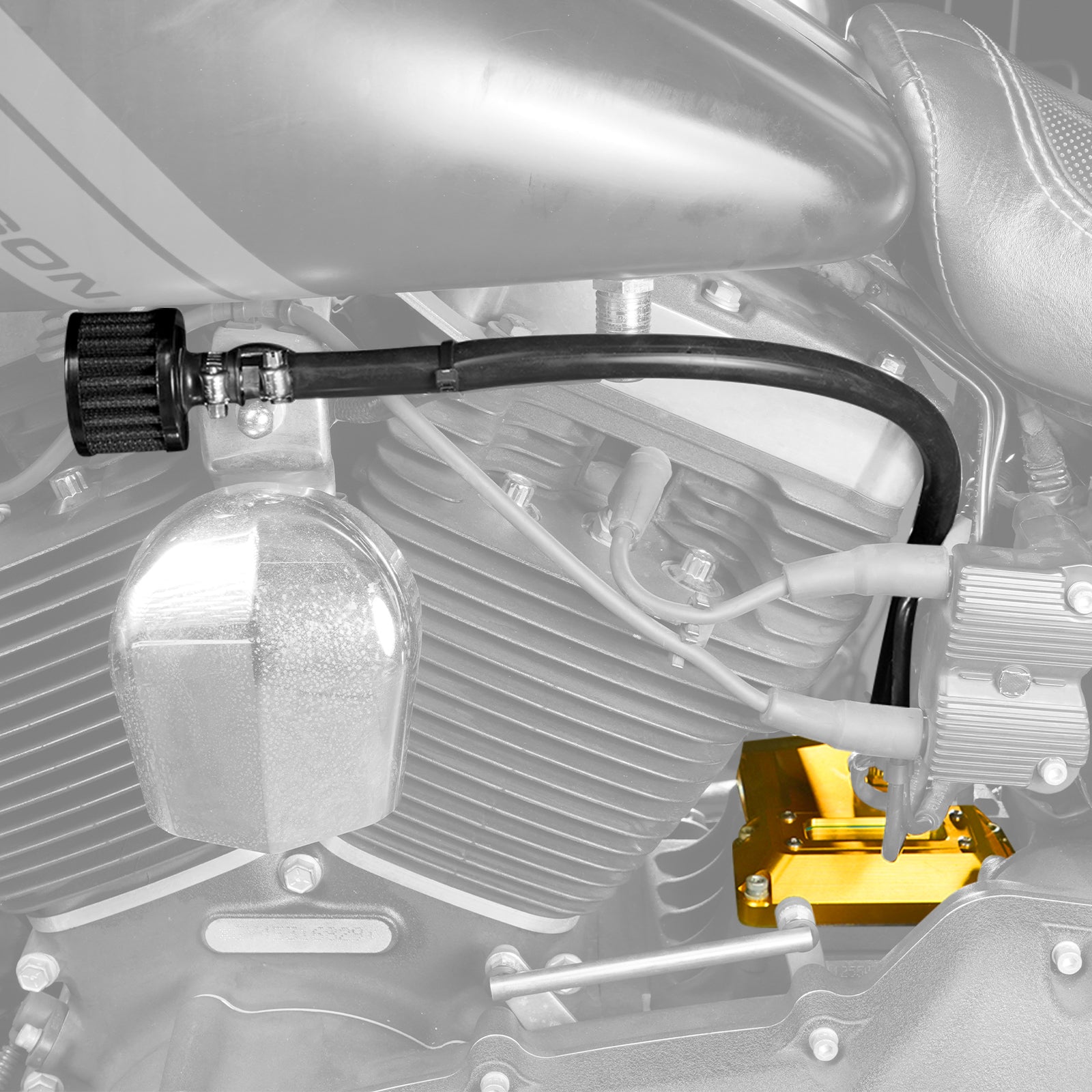 Transparente belüftete Getriebeabdeckung für Harley Dyna Twin Cam 2006–2017