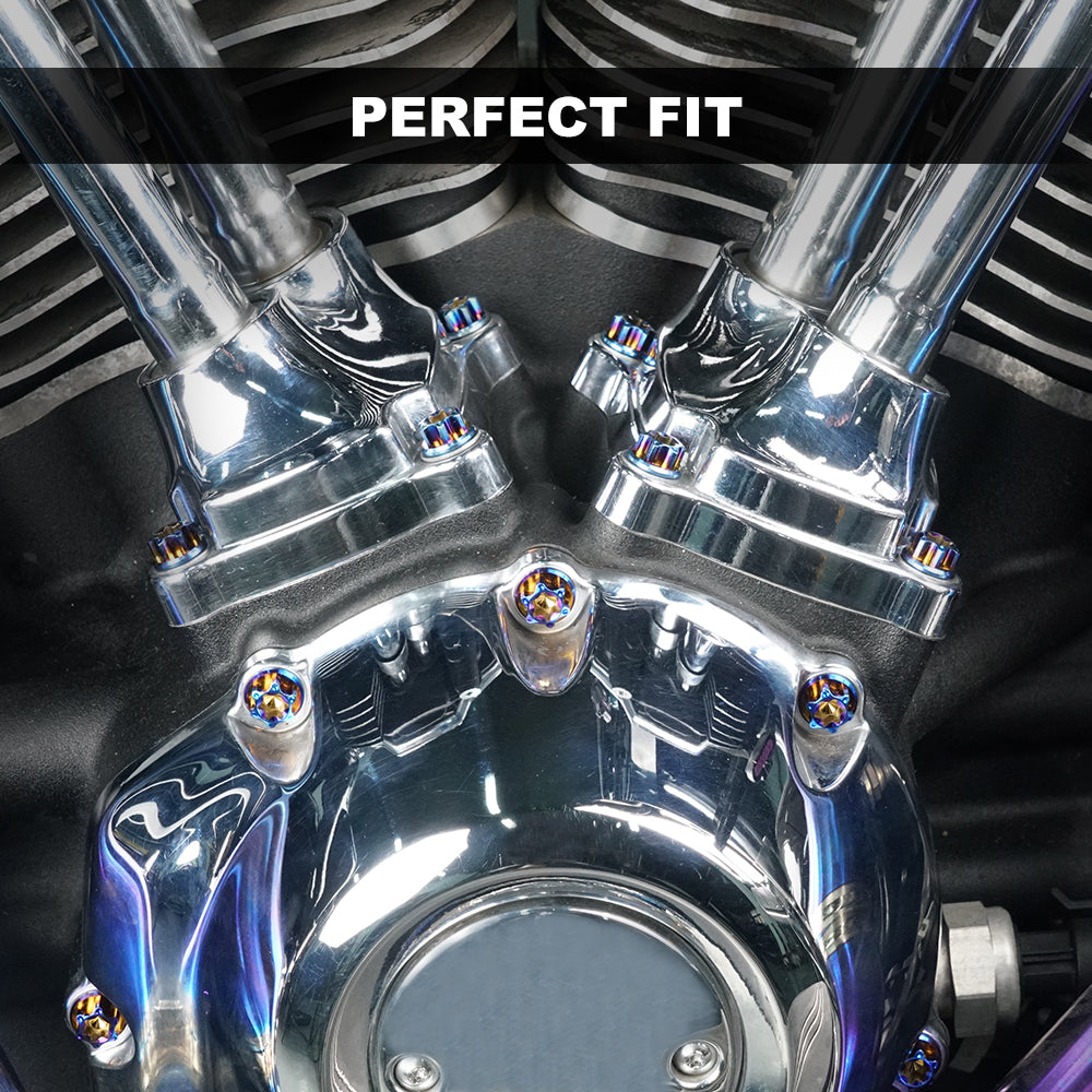 Titan Legierung 9 stücke Cam Abdeckung Schrauben Schrauben Für Harley Davidson Road Glide Street Glide