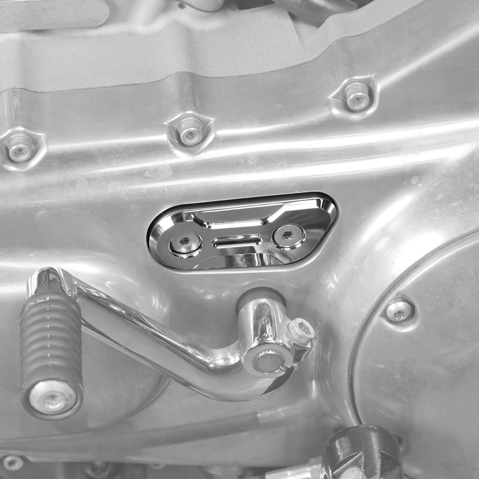 CNC Inspektionsplattenabdeckung für Harley Sportster 1200 Iron 883 Forty Eight